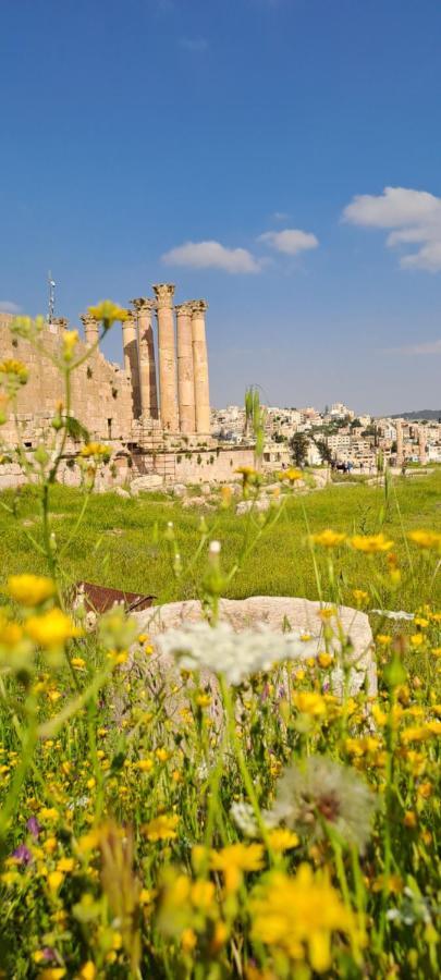 Cardostudio Hotel Jarash Buitenkant foto