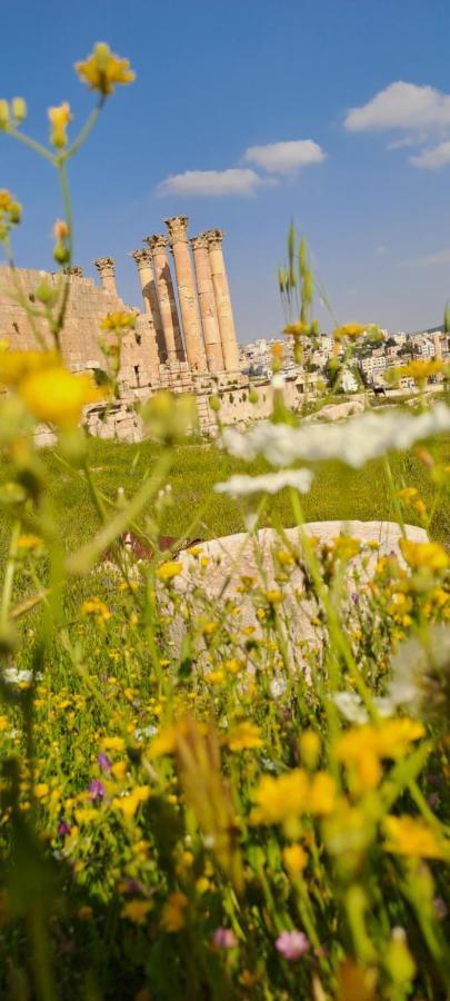 Cardostudio Hotel Jarash Buitenkant foto