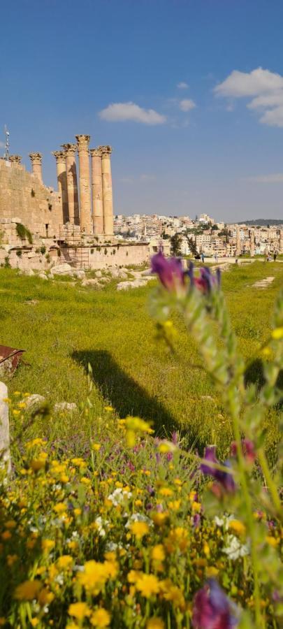 Cardostudio Hotel Jarash Buitenkant foto