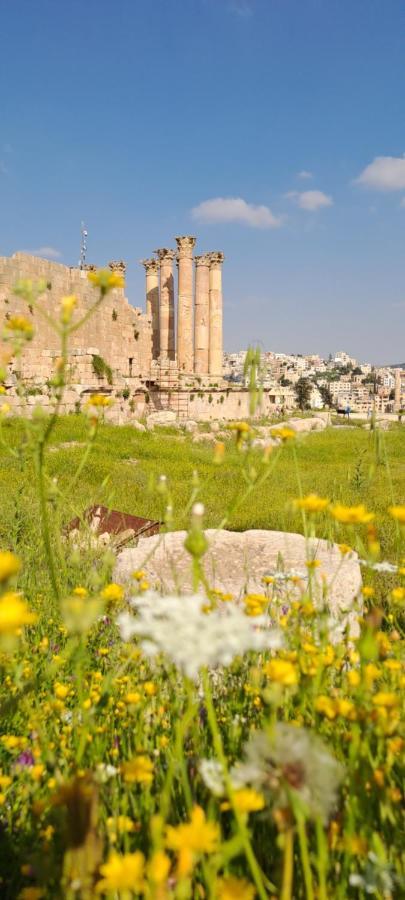 Cardostudio Hotel Jarash Buitenkant foto