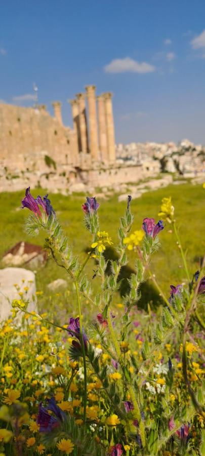 Cardostudio Hotel Jarash Buitenkant foto